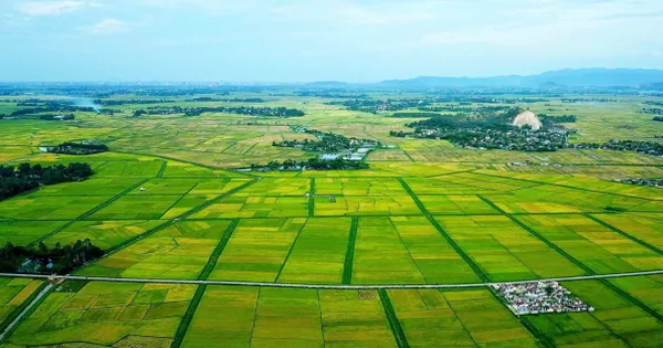 Chính phủ sẽ trình Quốc hội một số cơ chế, chính sách tháo gỡ khó khăn, vướng mắc trong thi hành Luật Đất đai
