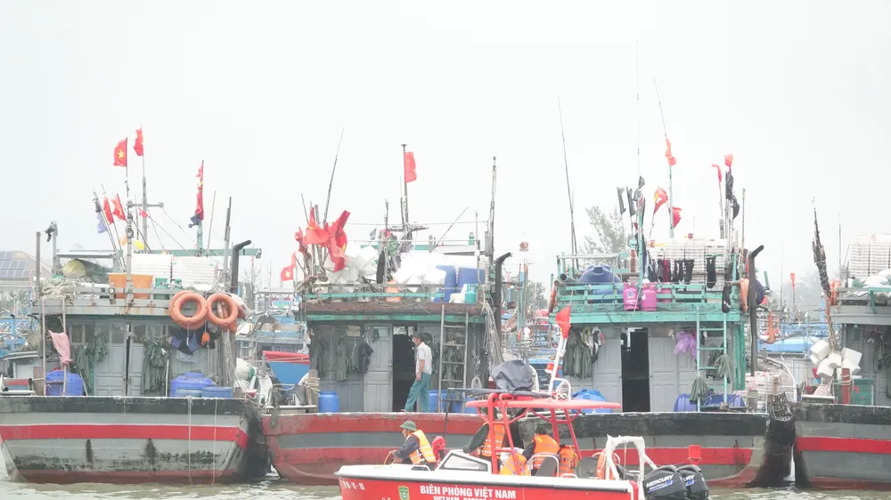 Lực lượng chức năng kiểm tra việc neo đậu tàu của ngư dân ở Đà Nẵng. Ảnh: XUÂN QUỲNH