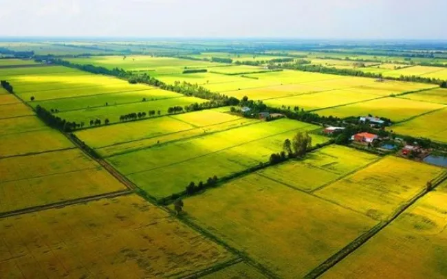 Trong tháng 6-2026, kết nối liên thông dữ liệu đất đai với cơ quan thuế