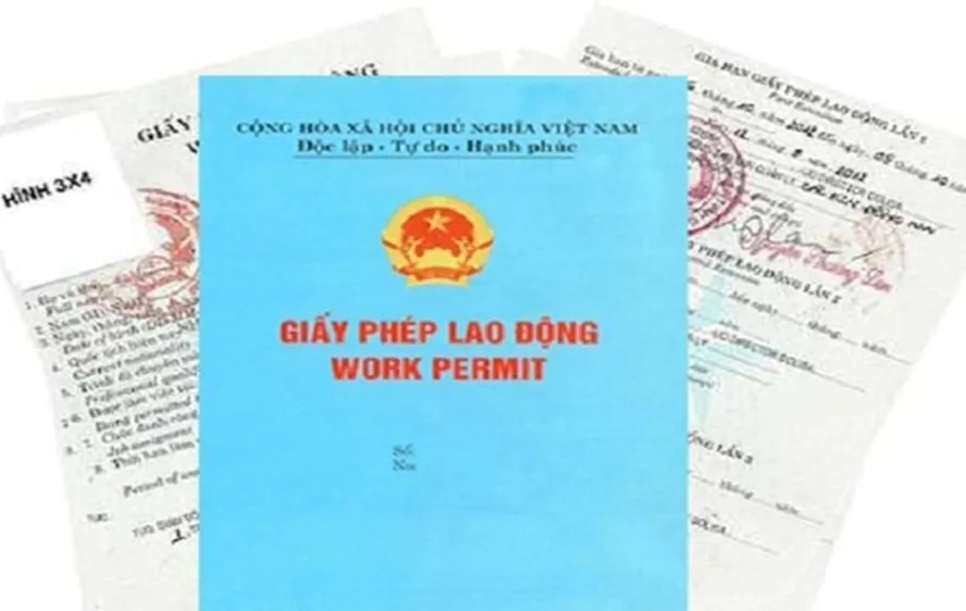 TPHCM tạm dừng cấp phép lao động cho lao động nước ngoài đến từ nơi có dịch Covid-19