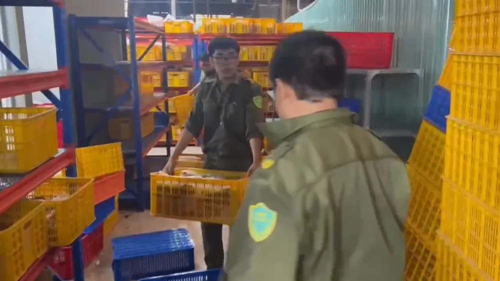 Bắt 2 vợ chồng chủ "shop online", thu 11.000 đôi dép giả