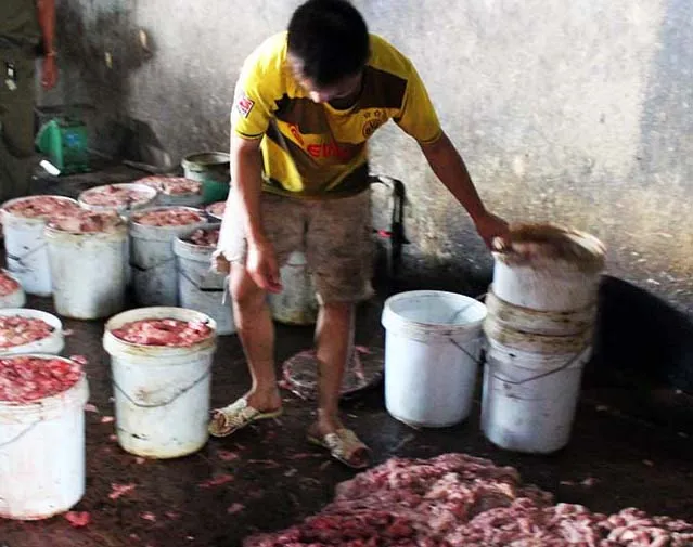 Gom mỡ nội tạng bẩn để sản xuất mỡ bán cho doanh nghiệp