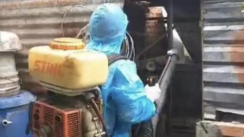 Đồng Nai: Một bé trai tử vong do bị sốt xuất huyết
