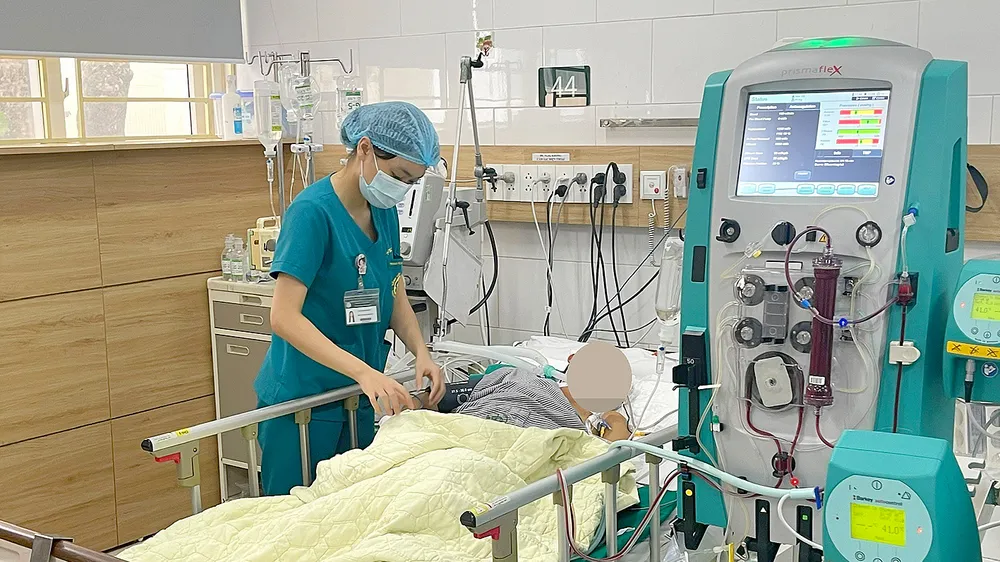 Một trường hợp bị ngộ độc thuốc nam đang được điều trị tích cực tại Trung tâm Chống độc, Bệnh viện Bạch Mai