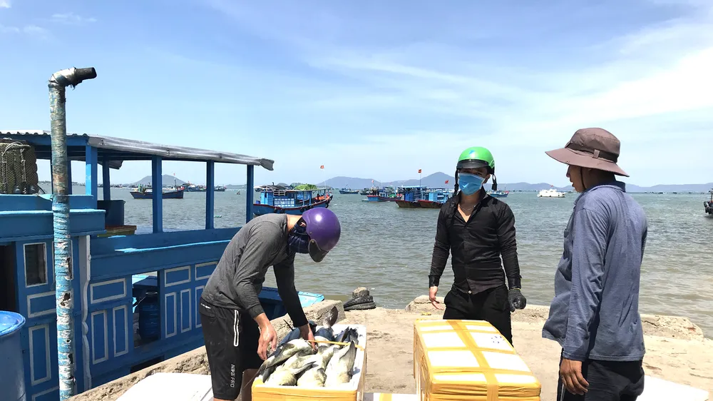 Ngư dân Khánh Hòa đưa hải sản lên bờ
