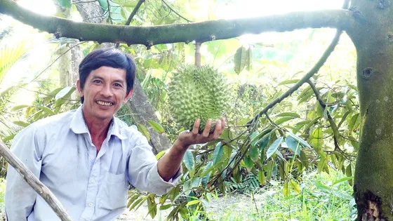 Đừng vì cái lợi trước mắt