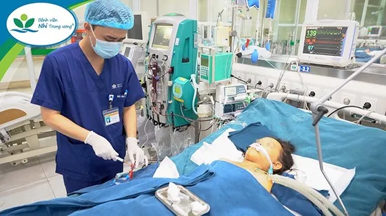 Nhiều trẻ bị ong đốt rất nguy kịch 