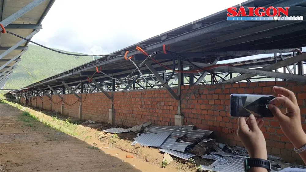 Điện mặt trời "núp bóng" trang trại nông nghiệp: Tỉnh Phú Yên chỉ đạo xử lý nghiêm