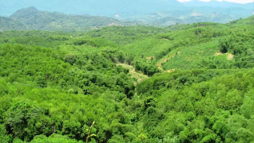 Bán thêm 1 triệu tấn tín chỉ carbon cho nước ngoài