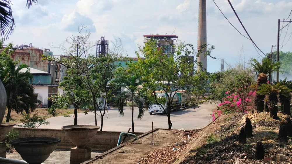 Xăng sinh học E5: Xăng xanh thành… đống nợ - Bài 3: Chưa xanh đã... tàn