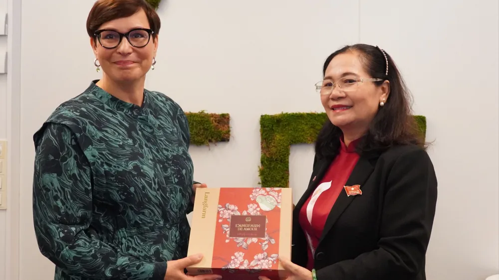 TPHCM và TP Tampere (Phần Lan) trao đổi kinh nghiệm để vận dụng tốt hơn các cơ chế, chính sách đặc thù
