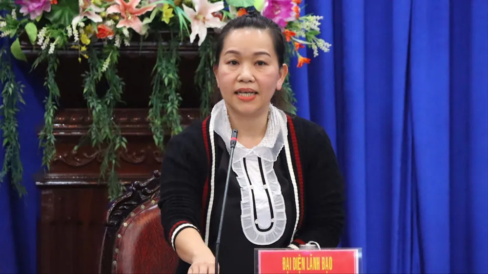 Nhiều hoạt động văn hóa đặc sắc tại Tuần lễ Hoa dã quỳ - núi lửa Chư Đang Ya 