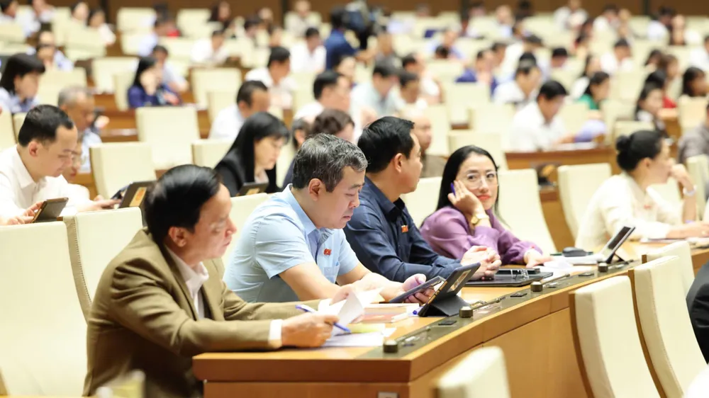 Các đại biểu dự phiên họp chiều 31-10. Ảnh: QUANG PHÚC