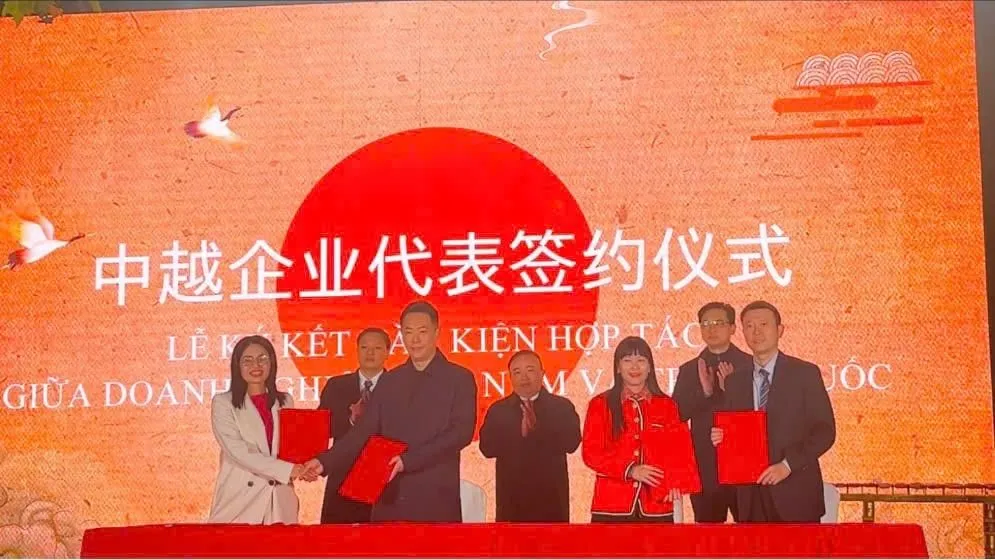 Yến sào Khánh Hòa tạo ấn tượng mạnh mẽ tại thị trường Trung Quốc