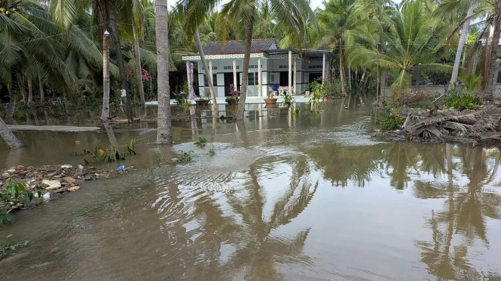 Triều cường dâng cao tại xã Bình Khánh, huyện Mỏ Cày Nam, làm nhiều tuyến đường bị ngập