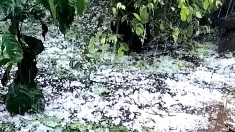Mưa đá làm tốc mái 2 ngôi nhà và hàng chục hécta cây trồng bị ảnh hưởng