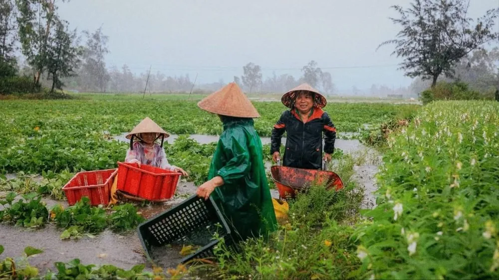 Ít nhất 6 người chết và mất tích do mưa lũ ở miền Trung