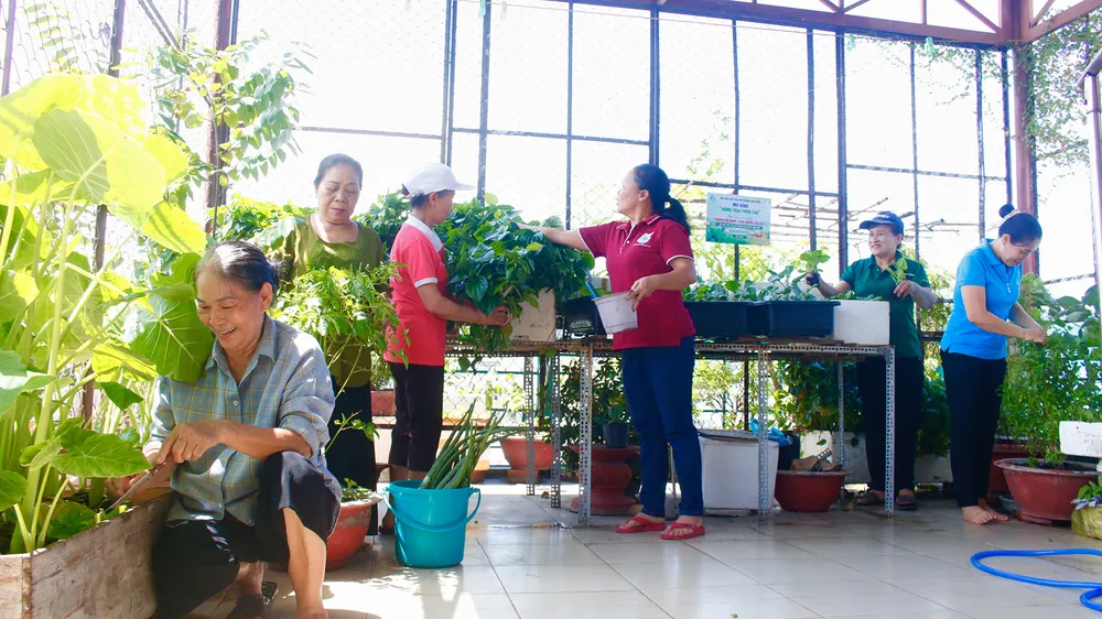 Sống xanh từ những “Nông trại trên cao”