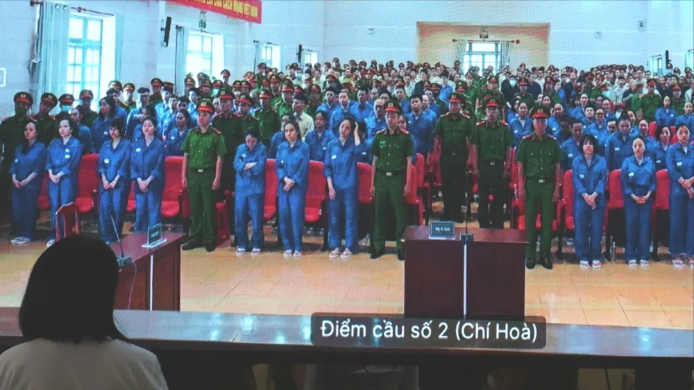 Chuyên án VN10: Nhiều trường hợp mẹ con hầu tòa