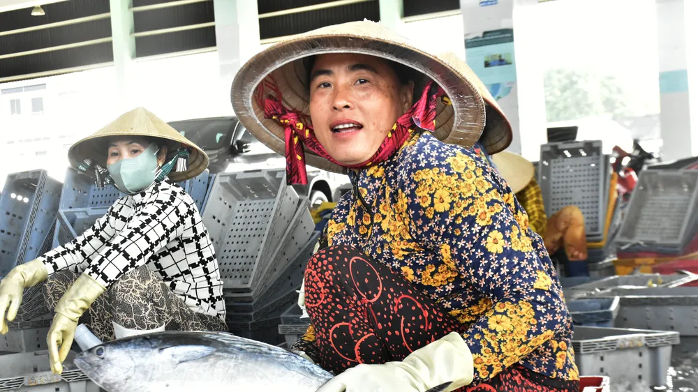 Cảng cá Tắc Cậu nhộn nhịp chuyến biển cuối năm