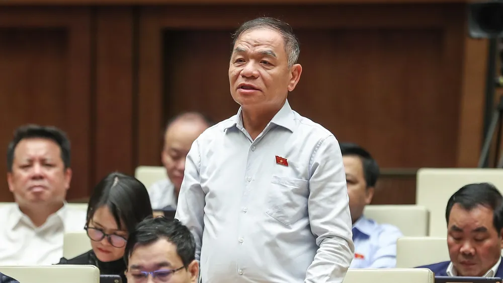ĐB Lê Thanh Vân (Cà Mau) đưa ra nhiều vấn đề chất vấn Tổng Thanh tra Chính phủ. Ảnh: QUANG PHÚC 