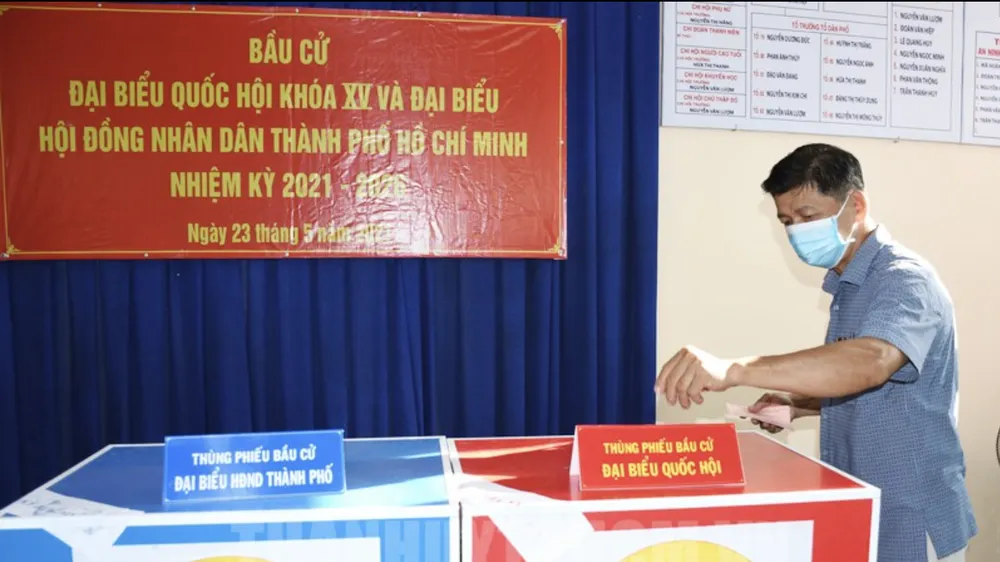 TPHCM thống nhất dùng giấy màu in thẻ cử tri