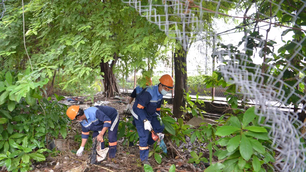 Dọn dẹp rác, tỉa nhánh cây xanh phòng chống sốt xuất huyết tại Cù lao Nguyễn Kiệu, quận 4. Ảnh: CAO THĂNG