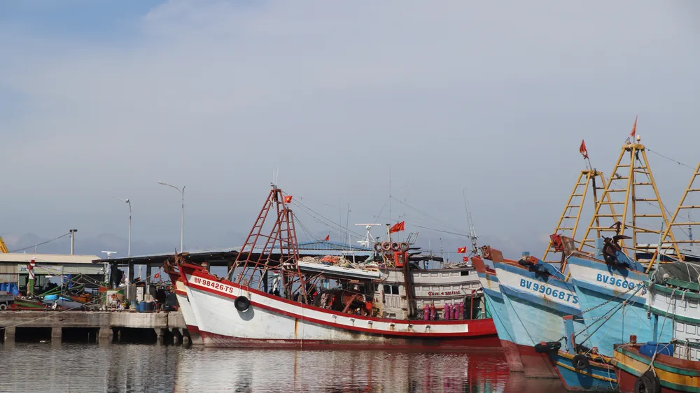 Tàu cá neo đậu tại cảng cá Cát Lở, phường Phước Thắng, TPHCM
