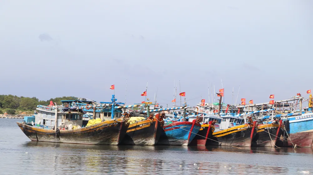 TPHCM tăng cường xử lý các hành vi vi phạm liên quan đến mất kết nối, vô hiệu hóa hoặc không duy trì hoạt động của thiết bị VMS trên tàu cá