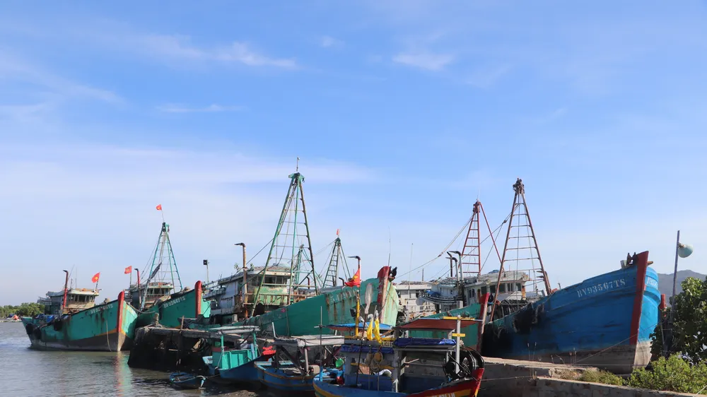 Xã Long Hải là địa phương nhiều tàu cá chưa đủ điều kiện hoạt động nhiều nhất TPHCM.