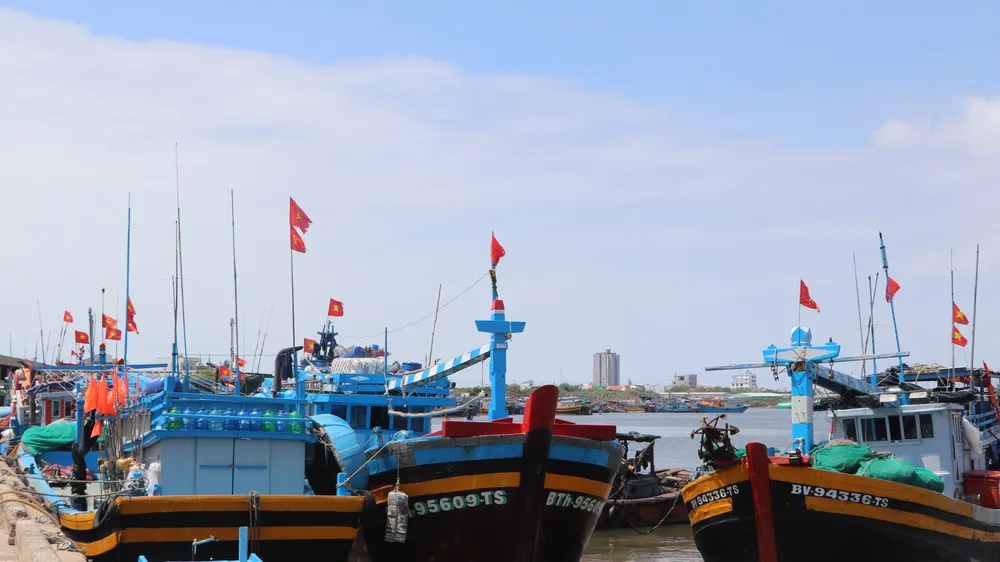 Tàu cập cảng Hưng Thái, xã Long Hải bốc dỡ thủy sản