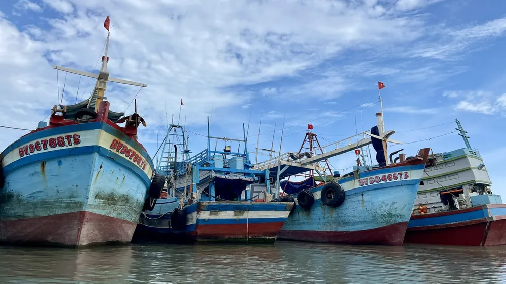 TPHCM nghiên cứu áp dụng "thẻ vàng, thẻ đỏ" để quản lý tàu cá vi phạm IUU