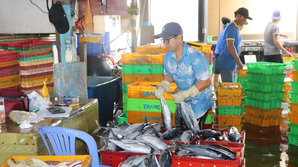 Thủy sản bốc lên bờ tại cảng cá Incomap, phường Vũng Tàu.