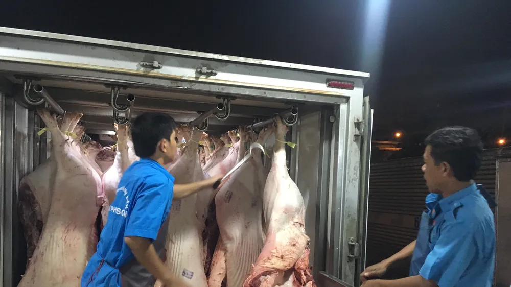 Phần lớn heo đeo vòng nhưng không kích hoạt truy xuất nguồn gốc