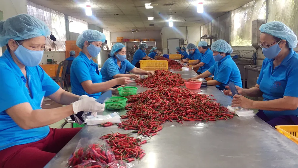 Hơn 150 nhà khoa học tham gia hội nghị An toàn và chất lượng trong chuỗi thực phẩm
