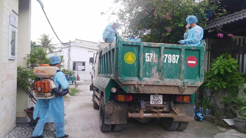 TPHCM phát hiện dịch tả heo châu Phi tại quận 9