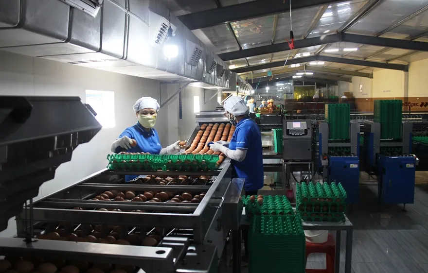 Agribank “sát cánh chung vai” cùng doanh nghiệp, doanh nhân khôi phục, phát triển nền kinh tế đất nước