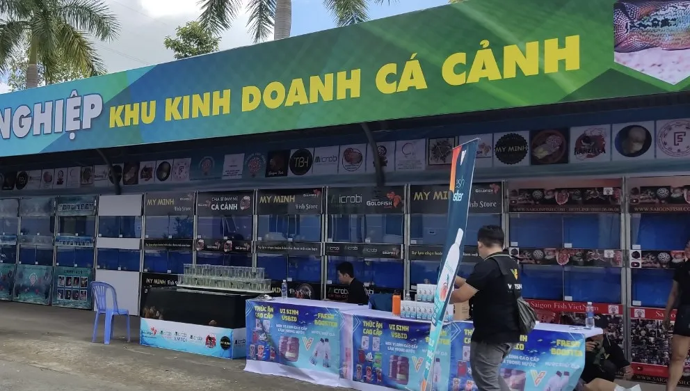 Xây dựng chợ cá cảnh kết hợp với du lịch
