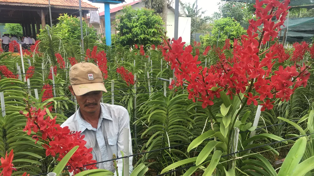 Sẽ nâng mức hỗ trợ nông dân tham gia và trở thành thành viên HTX