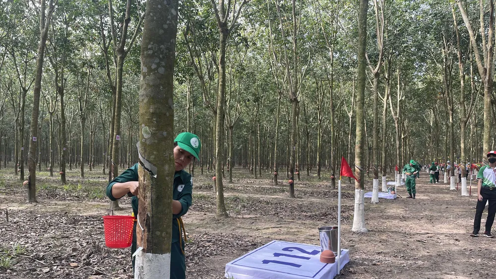 Hội thi Bàn tay vàng khai thác mủ cao su lần thứ 12 năm 2022 có 325 thí sinh đến từ 64 đội thi