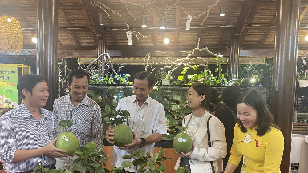 TPHCM công bố 39 sản phẩm đạt chứng nhận OCOP 