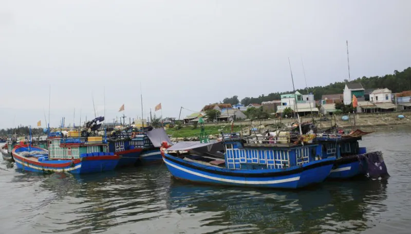 Cảng Sa Kỳ, khu vực ra vào của các tàu cá. Ảnh: NGUYỄN TRANG