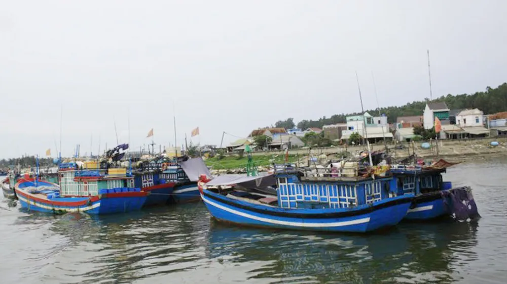 Cảng Sa Kỳ, khu vực ra vào của các tàu cá. Ảnh: NGUYỄN TRANG