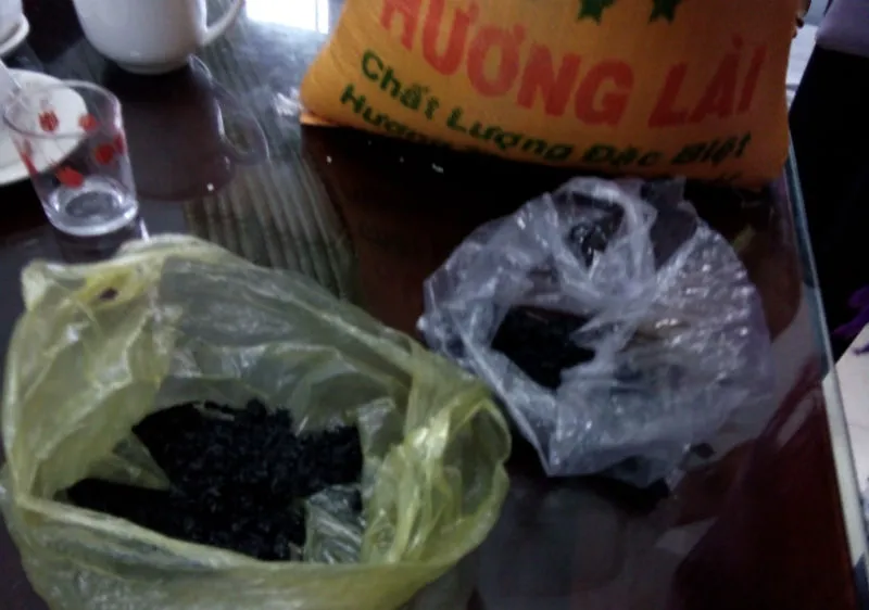 Gạo hỗ trợ cho dân vùng lũ bị nghi gạo giả