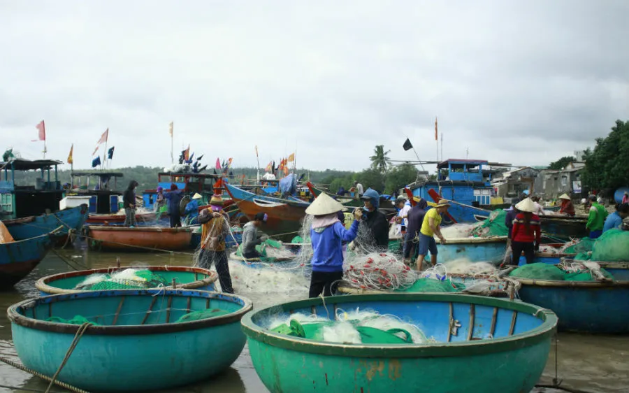 Một sáng ở làng chài Phước Thiện