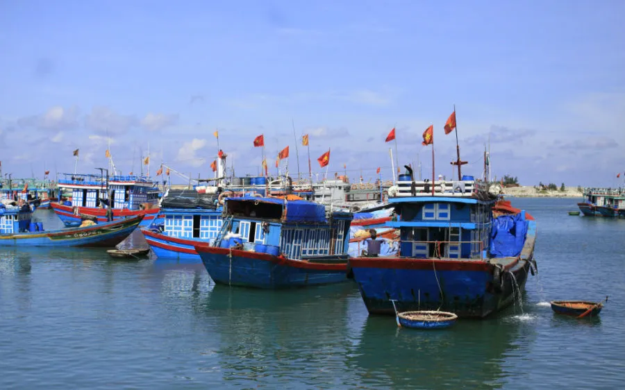 Tàu cá neo đậu cảng Lý Sơn