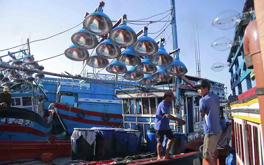 Tàu thuyền Quảng Ngãi về bến