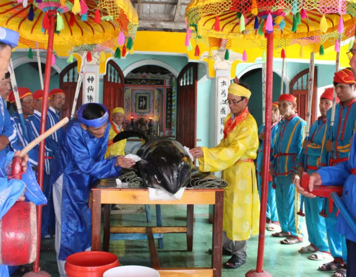 Nghi lễ an táng cá voi tại xã Bình Thuận