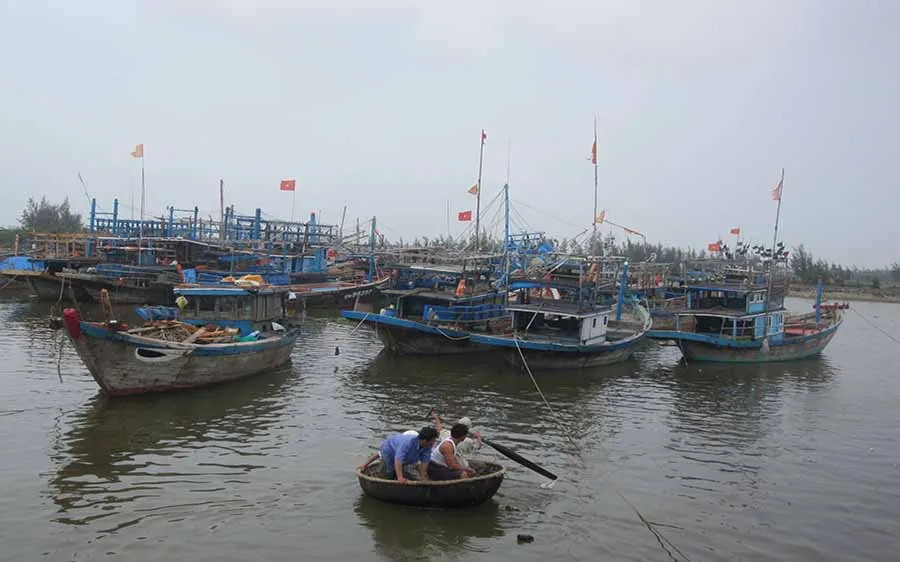 Tàu thuyền neo đậu nơi an toàn