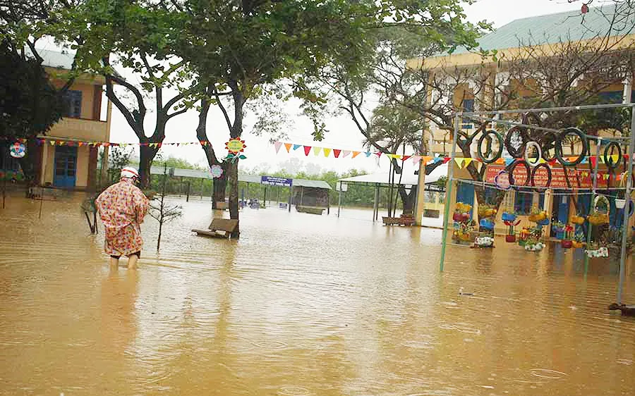Quảng Ngãi: Mưa lớn làm thiệt hại nhiều diện tích rau màu, hơn 1.060 căn nhà bị ngập